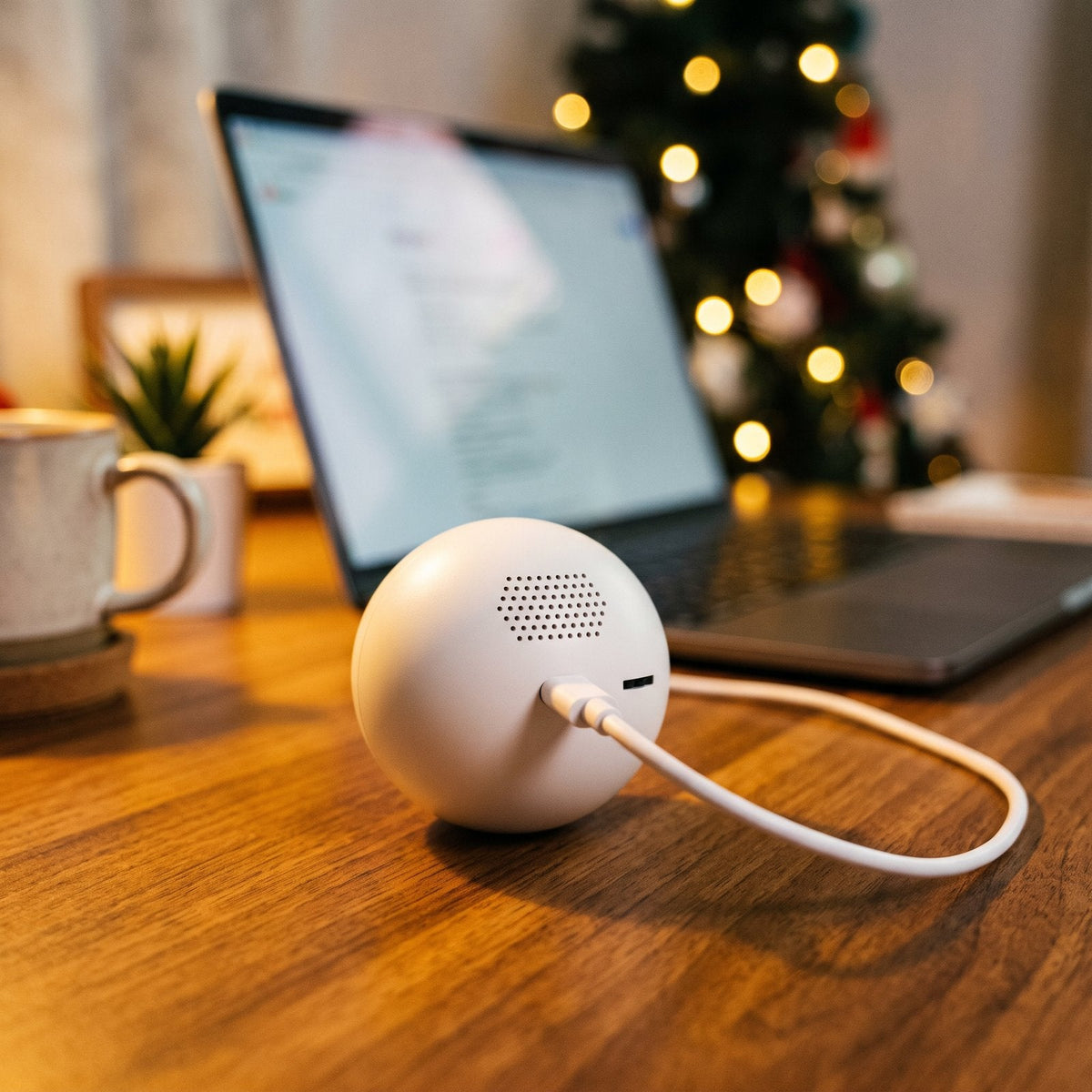 Memory Orb connected to a laptop with USB-C
